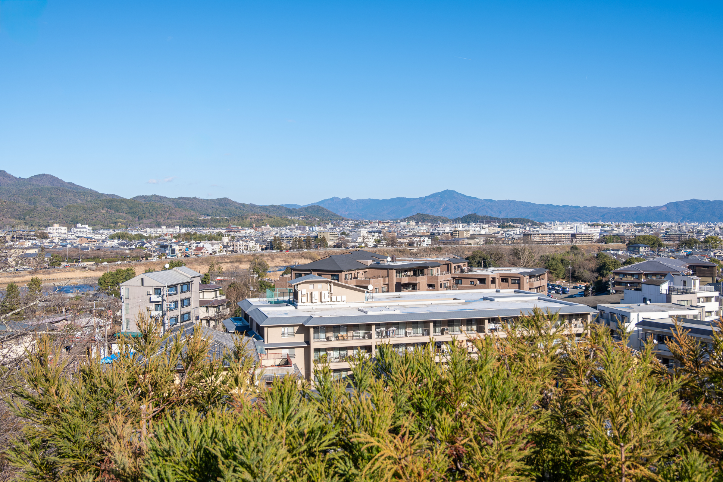 horin (2).webp